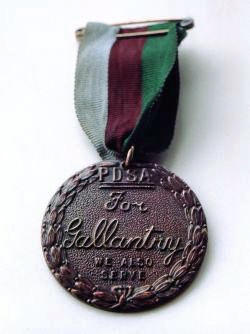 medaile Marie Dickensové